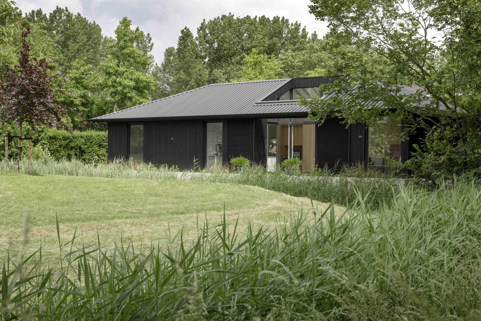 Moderne bungalow met zwart golfplaten gevel en groene omgeving