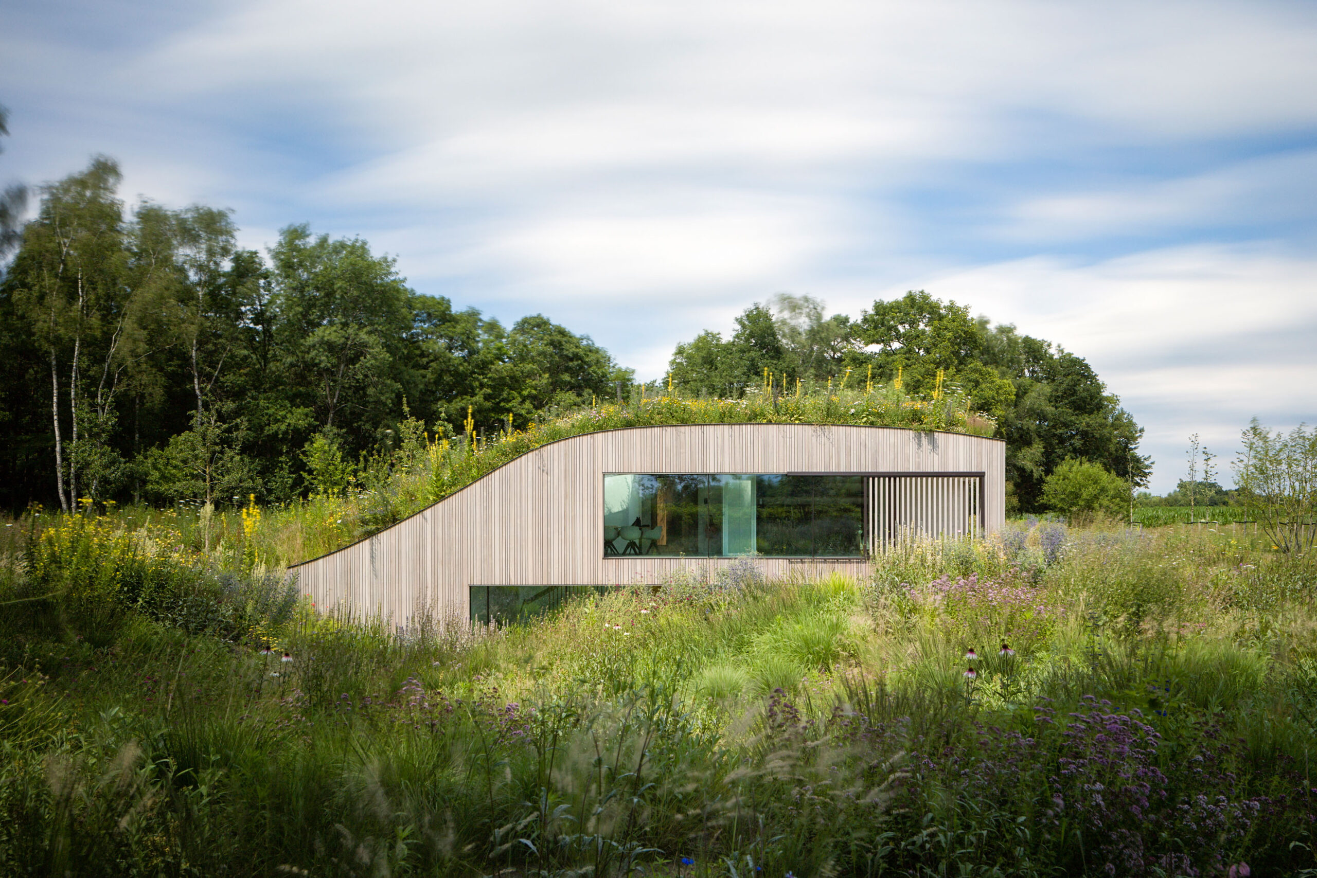 The House Under the Ground